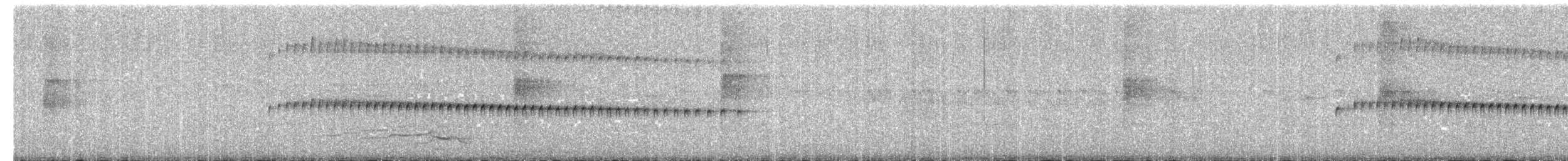 Sclérure à poitrine rousse (scansor) - ML640359458