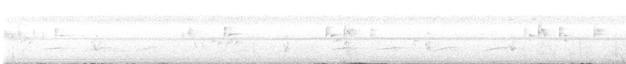 オウサマタイランチョウ - ML640359724