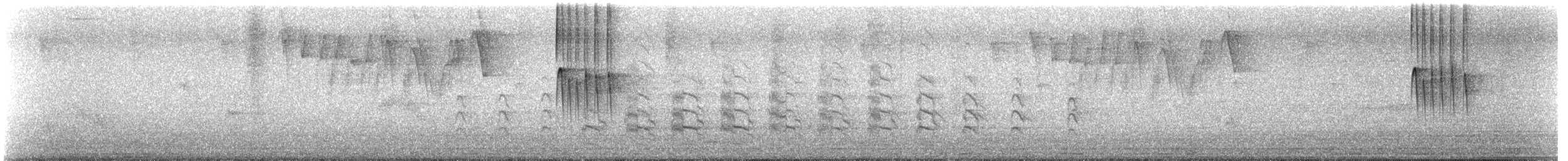 Southern Lapwing (lampronotus) - ML640360320