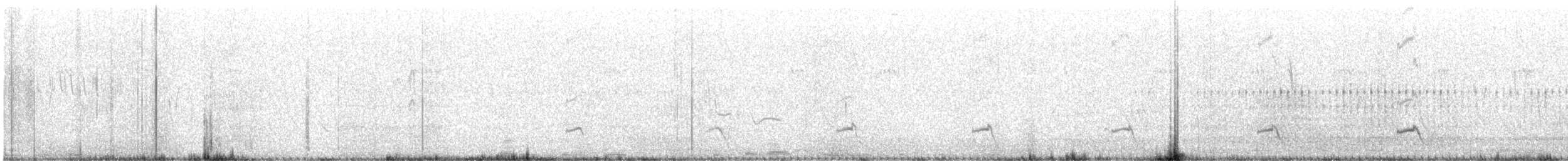 Pied Cuckoo - ML640360571