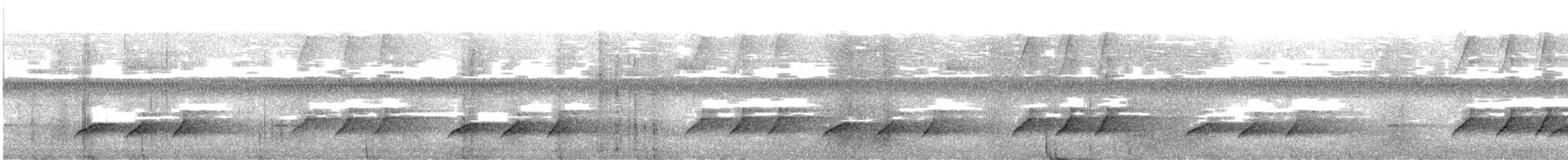 Cuco Colilargo Oscuro - ML640361149