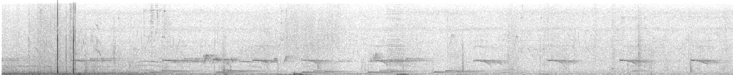 Pied Cuckoo - ML640362796
