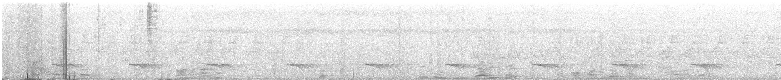 Pied Cuckoo - ML640362823
