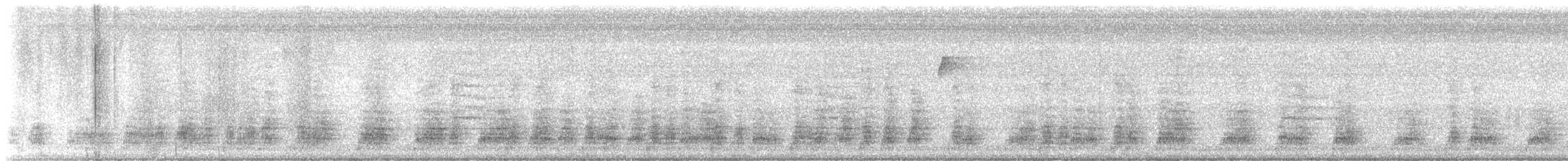 Mallard (Domestic type) - ML640363833