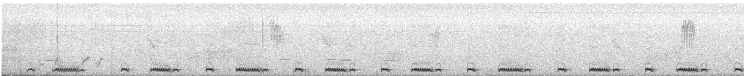 Ring-necked Dove - ML640364064