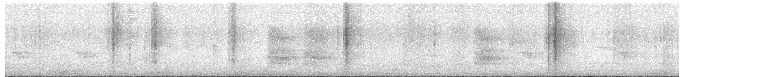 White-throated Magpie-Jay - ML640364081