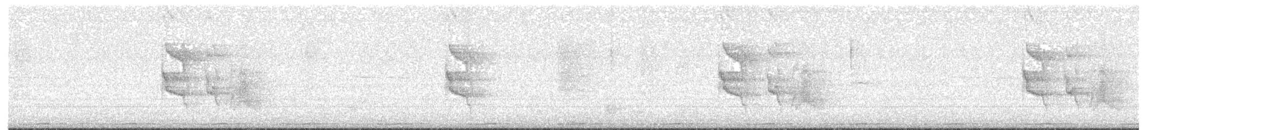 Social Flycatcher - ML640364139