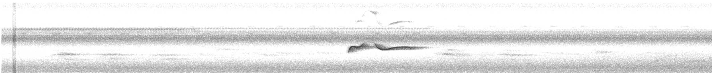 Hellbauch-Schnäppertyrann - ML640365387