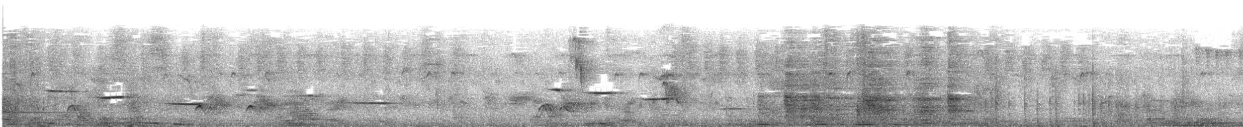 Brown-throated Wattle-eye - ML640369884