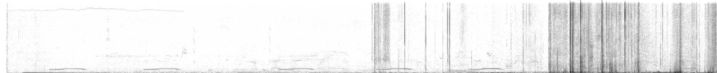 Colombe à queue noire - ML640370563