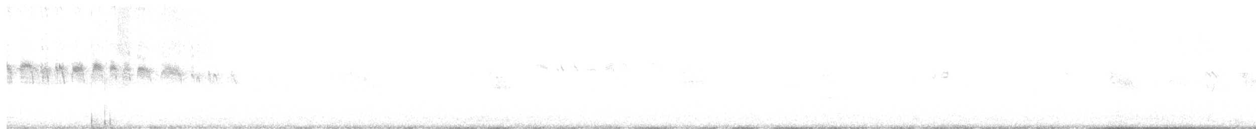 Andean Swift - ML640371362
