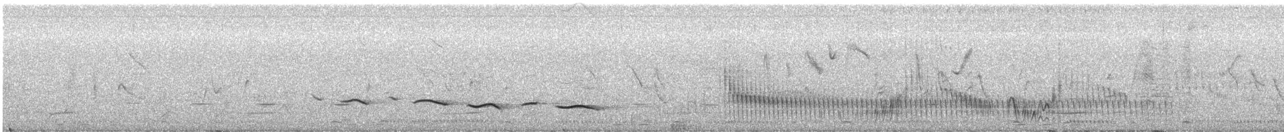 Black-crowned Tchagra - ML640371457