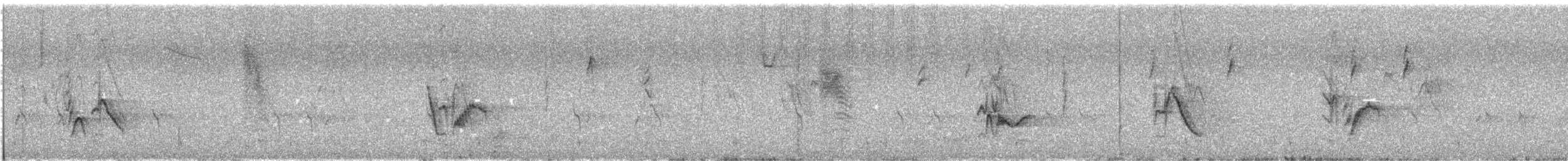 Cassin's Vireo - ML640372486