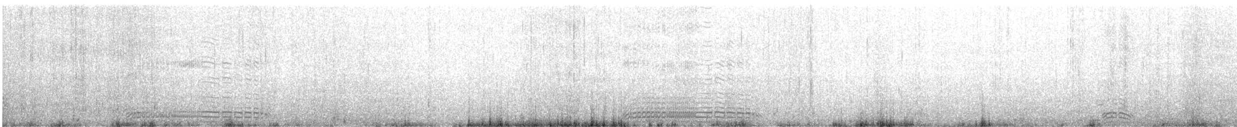 ウミガラス - ML640373591