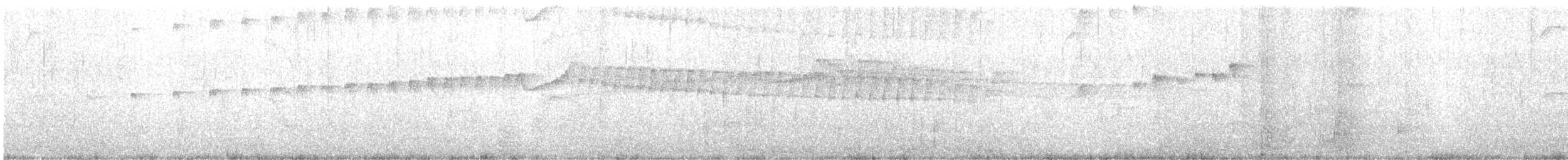 Pigeon Guillemot - ML640374017