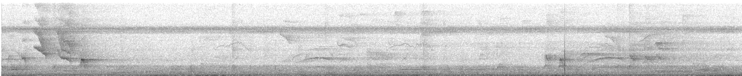 ハシグロムジツグミ - ML640375465