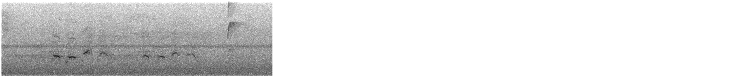 Troglodyte à calotte noire - ML640379633