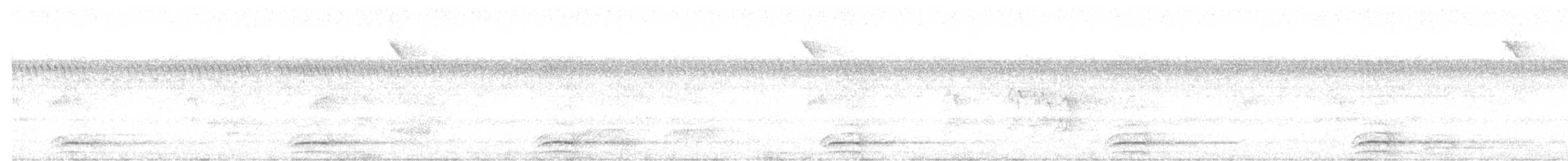 Laughing Falcon - ML640380443