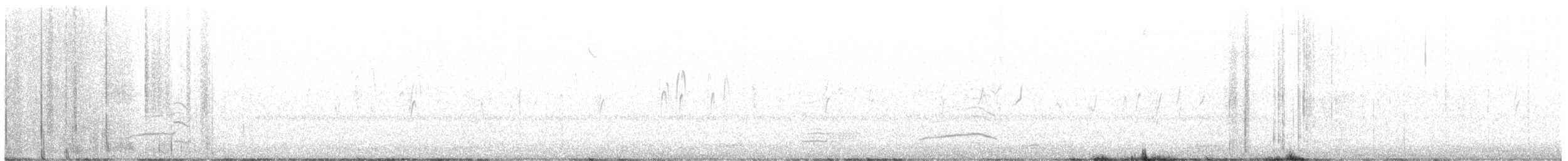 American Coot (Red-shielded) - ML640383292