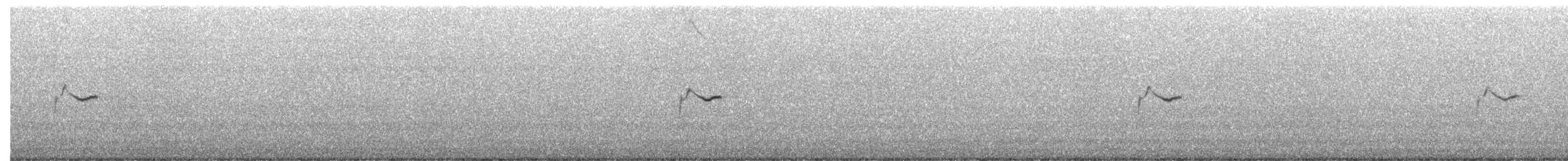 Cape Wagtail - ML640383887