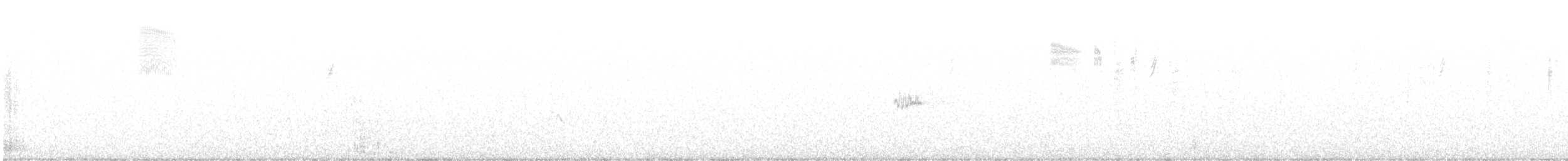 pygmésnipe - ML640384289
