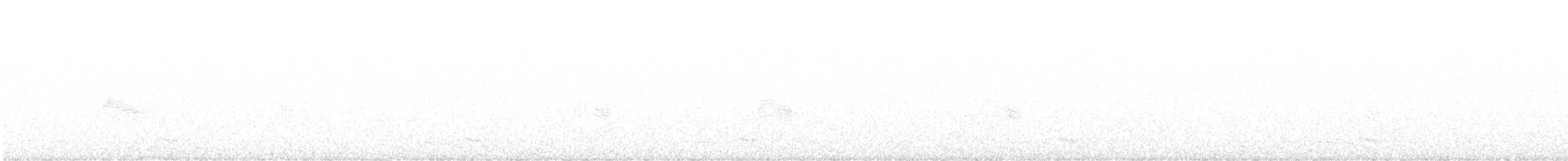 dvalenattravn - ML640385107