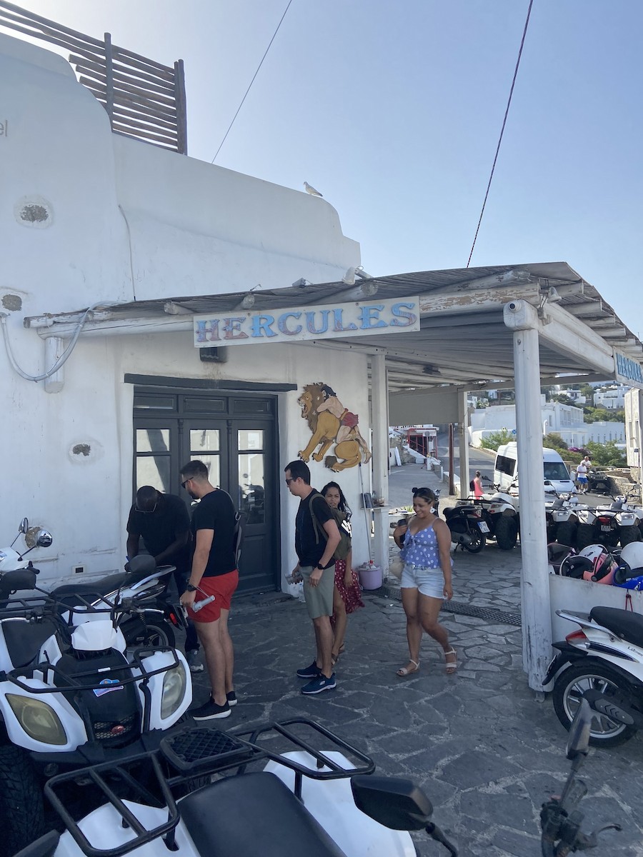 Eurasian Collared-Dove - ML640385138