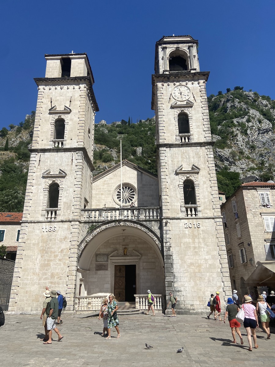 Rock Pigeon - ML640385466