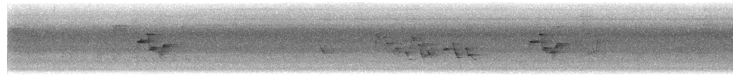 メジロヒメモズモドキ - ML640386112