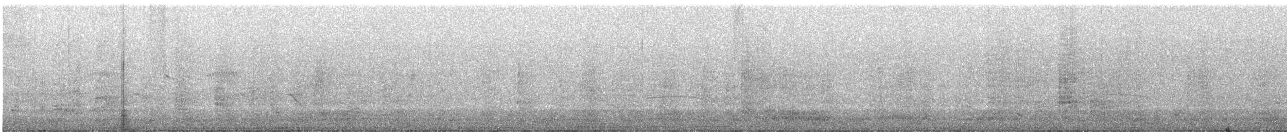 Neotropic Cormorant - ML640386495