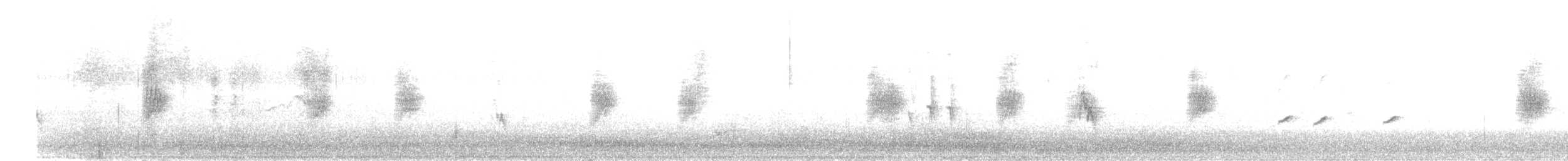 キタオビナシショウドウツバメ - ML640387247