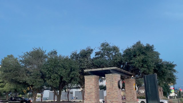 Purple Martin - ML640388487