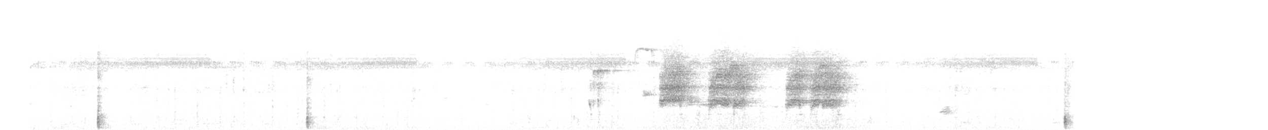 Black Francolin - ML640389788