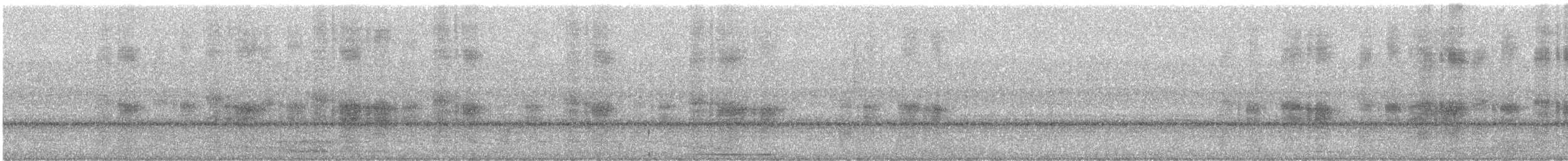 Masked Tityra - ML640390386