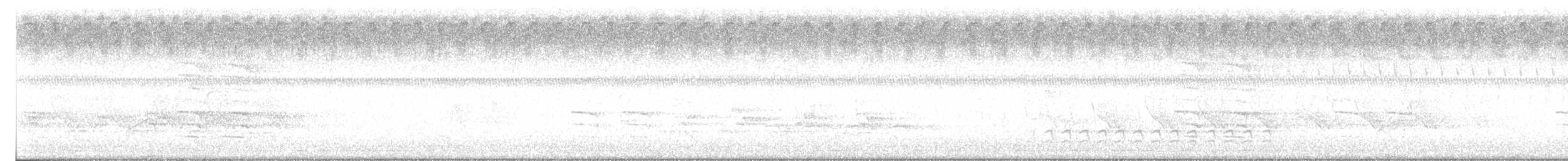 White-breasted Nuthatch - ML640390837