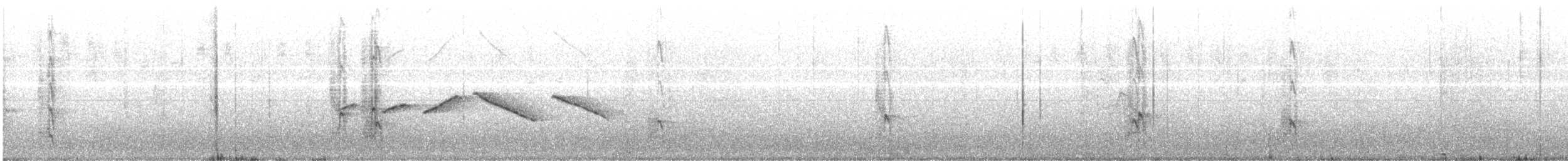 White-fronted Woodpecker - ML640391561