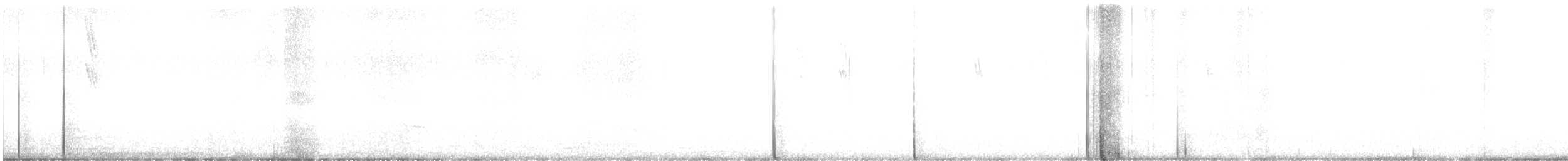 コバシマユシトド - ML640391979