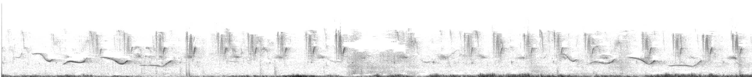 Black-crowned Tchagra - ML640392108