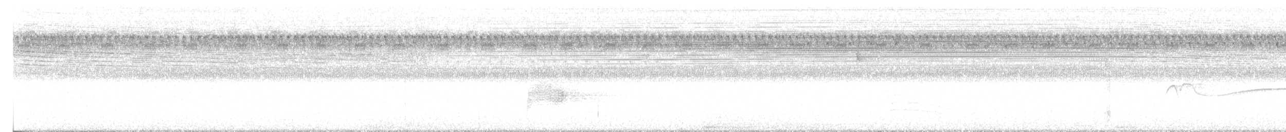 Common Nighthawk - ML640393407