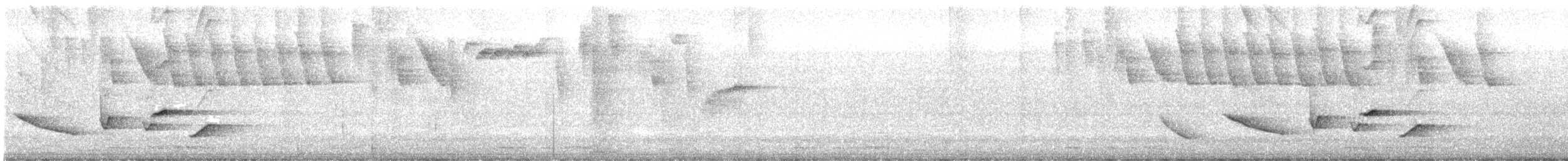 Olive-gray Saltator - ML640393854