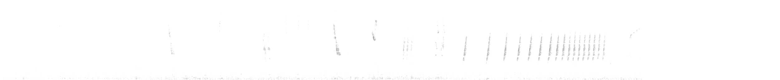 Botteri's Sparrow - ML640394542
