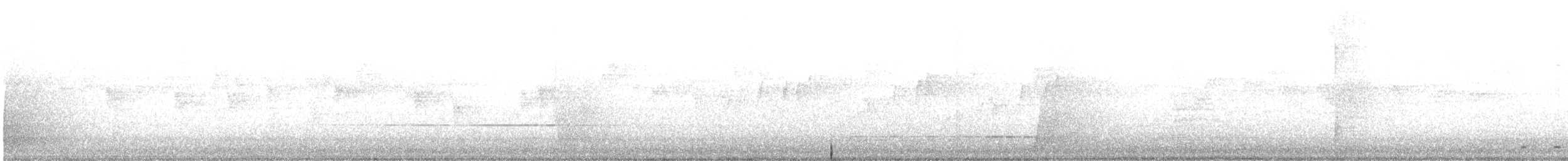 ムナグロシラヒゲドリ - ML640395330