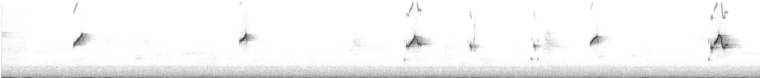 Western Flycatcher (Cordilleran) - ML640395846