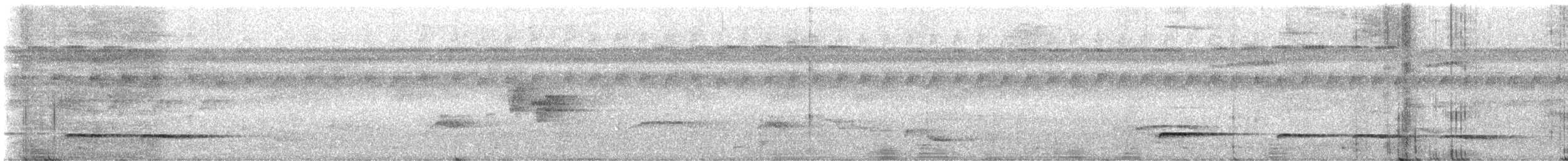 Black-faced Antthrush - ML640397656