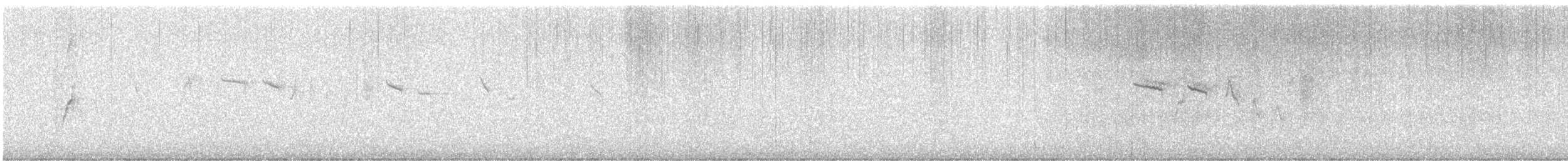 Red-tailed Comet - ML640398881