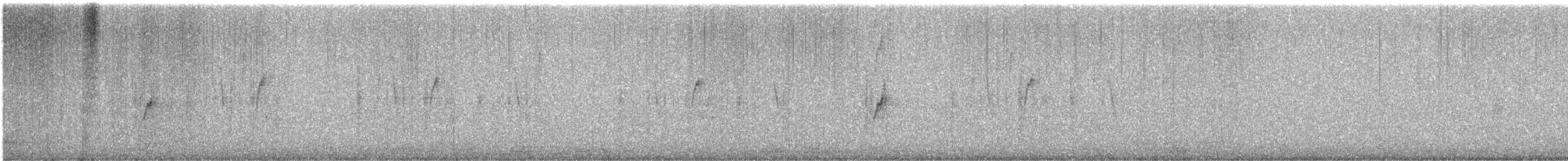 Red-tailed Comet - ML640398883