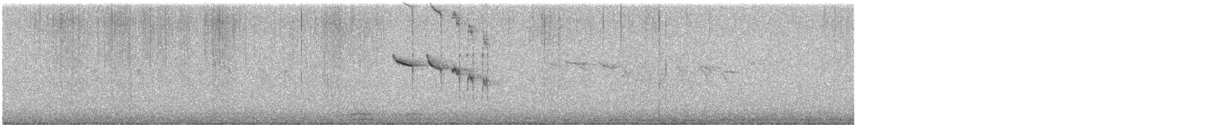 Red-tailed Comet - ML640399193