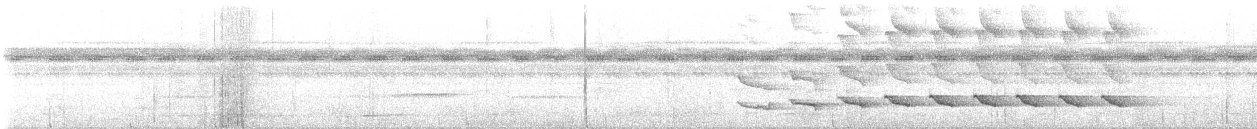 Sooty Antbird - ML640399637