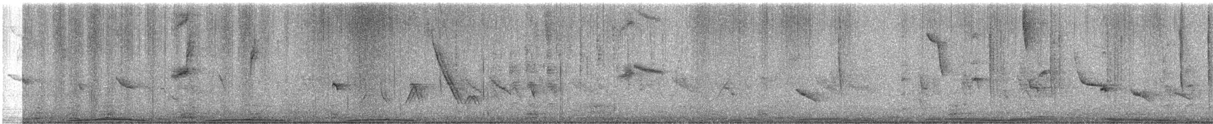 White-winged Black-Tyrant - ML640399966