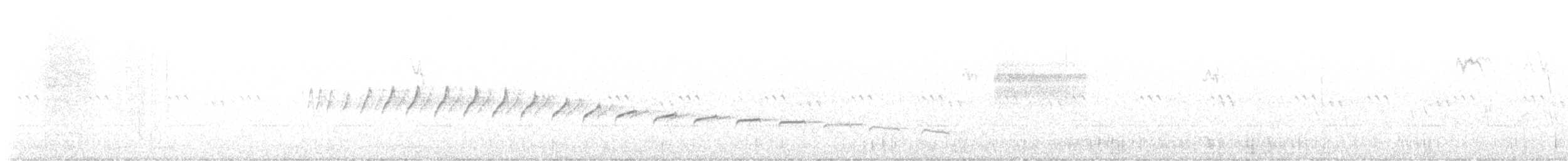 Canyon Wren - ML640400854